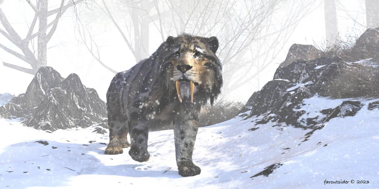 Smilodon by faroutsider on DeviantArt