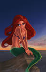 Ariel At Sunset
