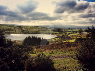 The Green Island  Northern Ireland