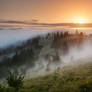 Ukraine. Carpathians. Dzembronya. Morning fog