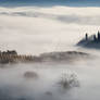 Italy. Tuscany. Foggy morning in Val d'Orcia