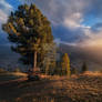 Evening light in the village of Selva di Val Garde