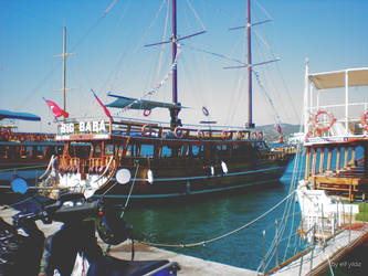 Pigeon Island Boats