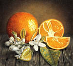 Oranges by PutyatinaEkaterina