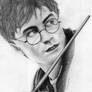 Harry Potter portrait