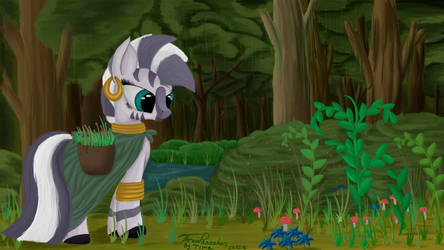 Zecora