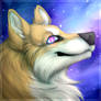 .:83 the Fox Icon:.