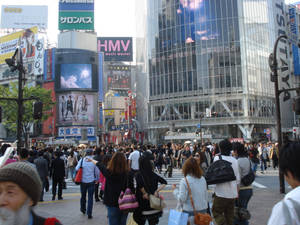 Glorious Shibuya