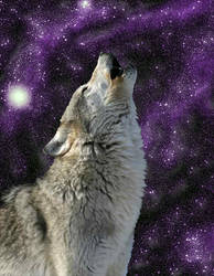 howling wolf