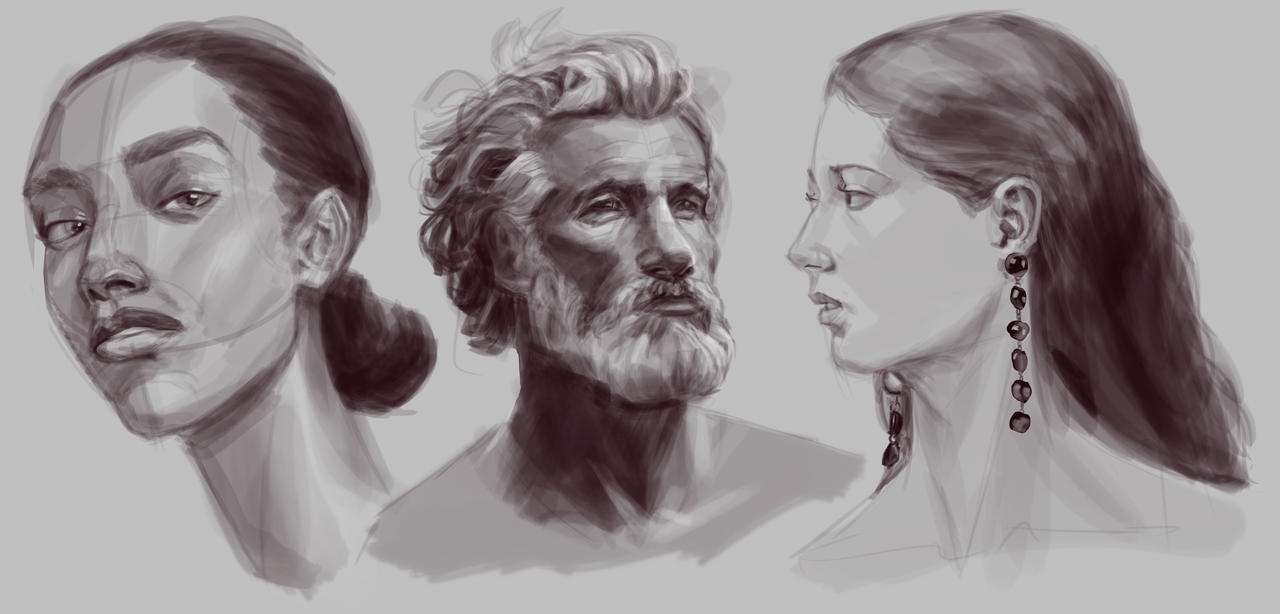 Head Study Course Head Studies by goldimari on DeviantArt