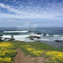 Strolling to glass beach 