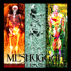 Meshuggah Destroy Erase Improve