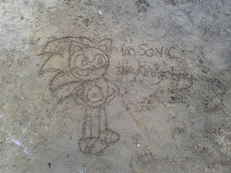 sonic in da sand