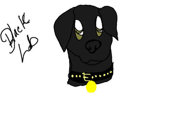Black Lab Deviantart Black Lab by Cursed-Hound on DeviantArt