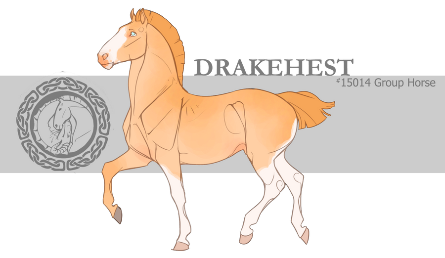 Drakehest Group Horse 15014