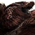 Rodan2019plz