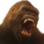 Kongplz