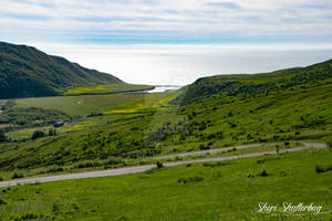 The Lost Coast IV