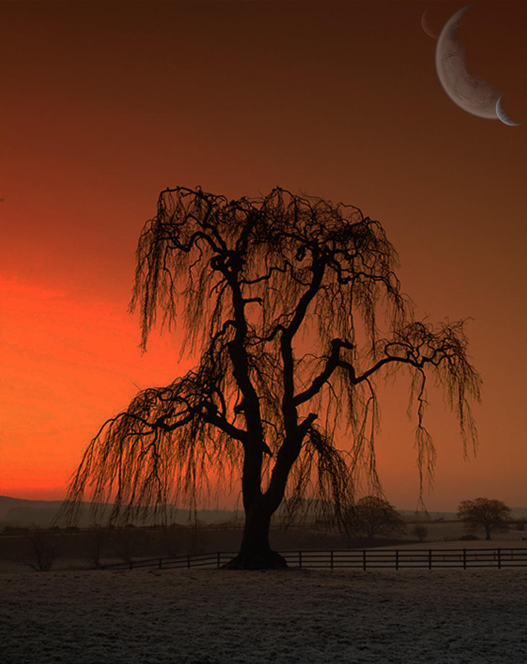 Alien Tree by kylebro93 on DeviantArt