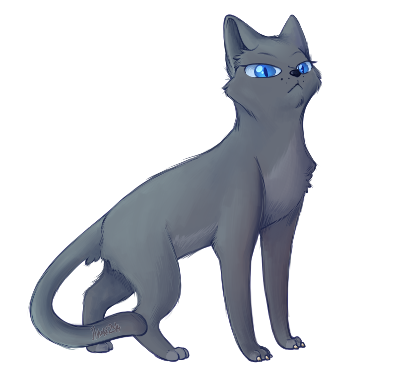 Bluestar by Nightryx.deviantart.com on @DeviantArt