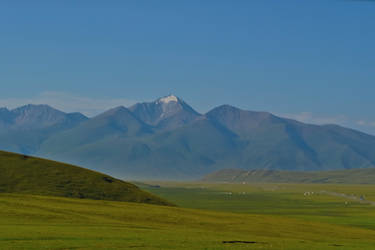 one sight of dushanzi-kuqa highway