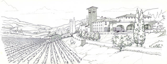 Winery sketch