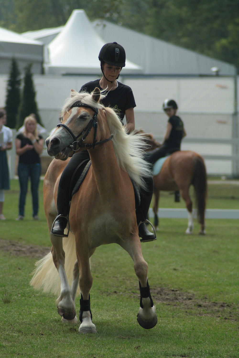 Pony soccer stock 8