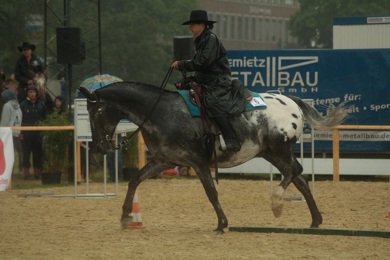 Equitana stock 151