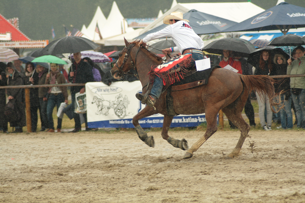 Equitana stock 211 by Bundy-Stock