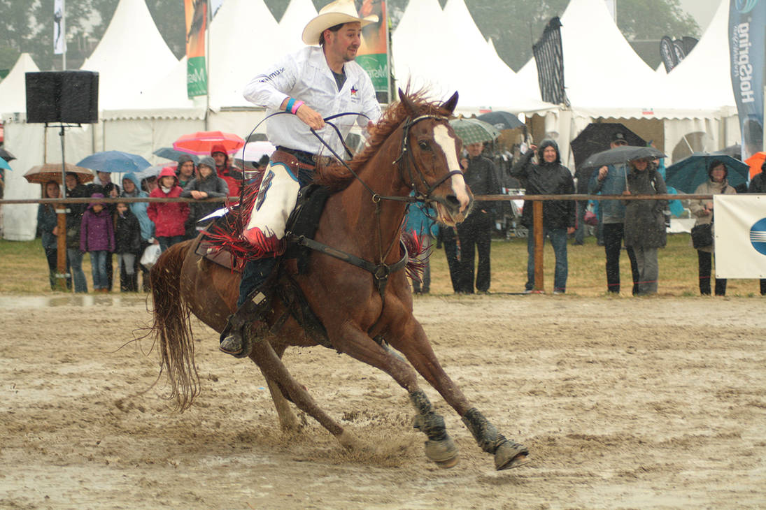 Equitana stock 114 by Bundy-Stock