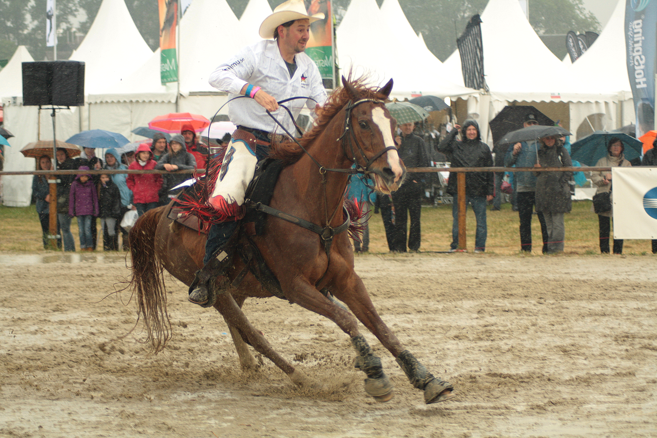 Equitana stock 114 by Bundy-Stock