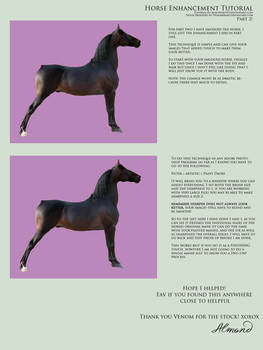 Horse Body Enhancement Part 2