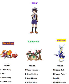 Florian's Galarian Star Tournament team