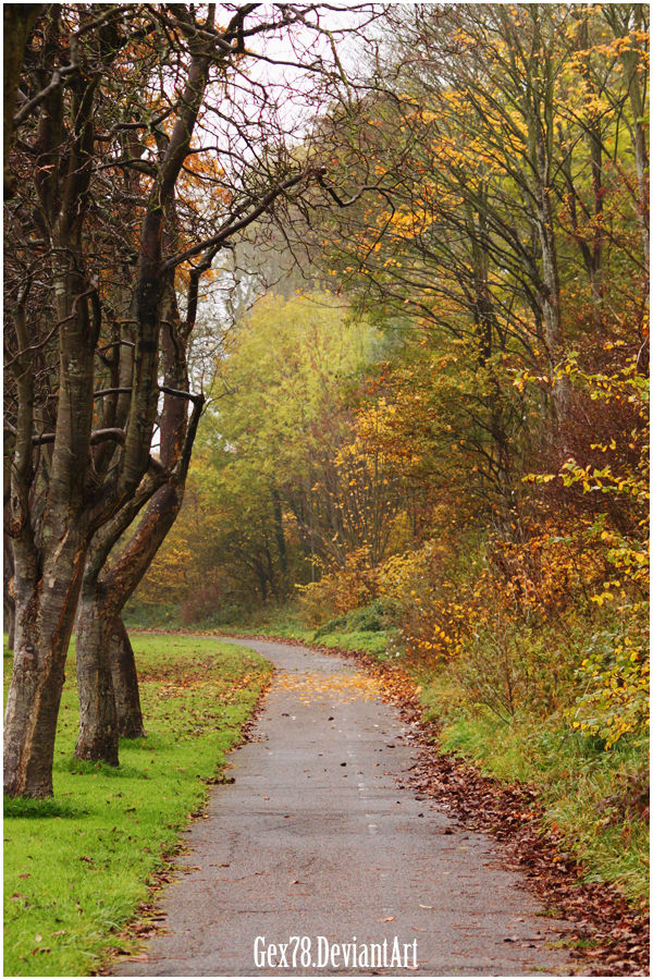 Colorfull Path A colorful path by Gex78 on DeviantArt