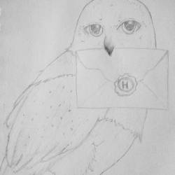 Hedwig from Harry Potter