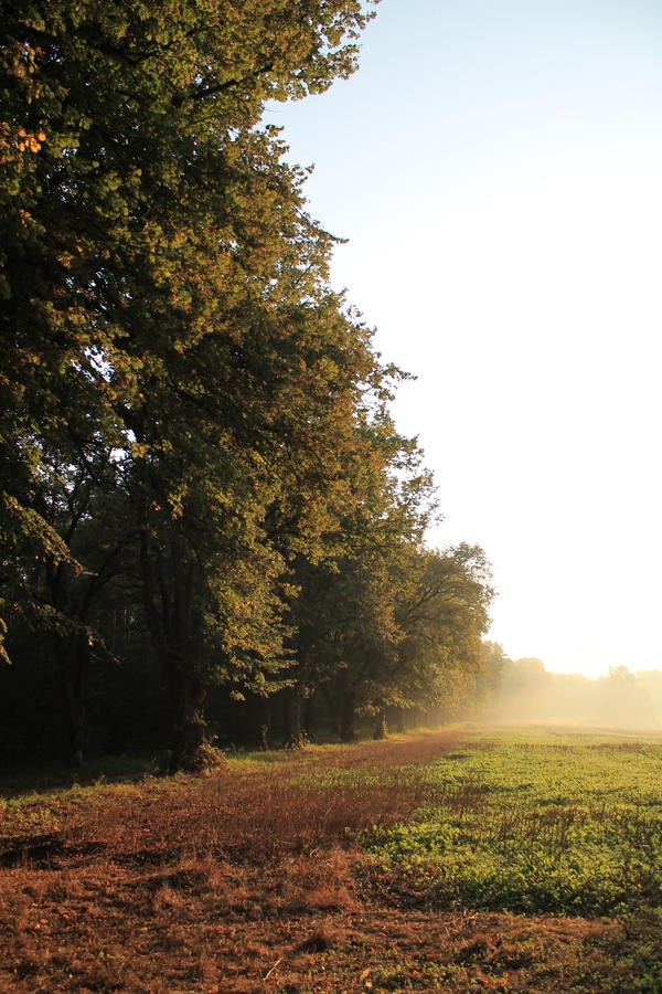 A morning in late summer