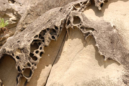 Sandstone texture 1