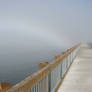 Foggy Boardwalk
