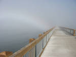 Foggy Boardwalk by incongruent-stock
