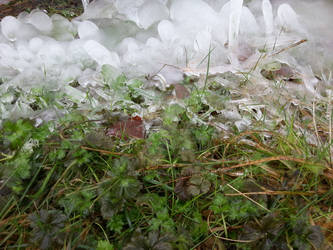 Garden of Ice Blobs Germinating the Ice