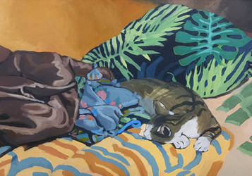 Cat in the House 2