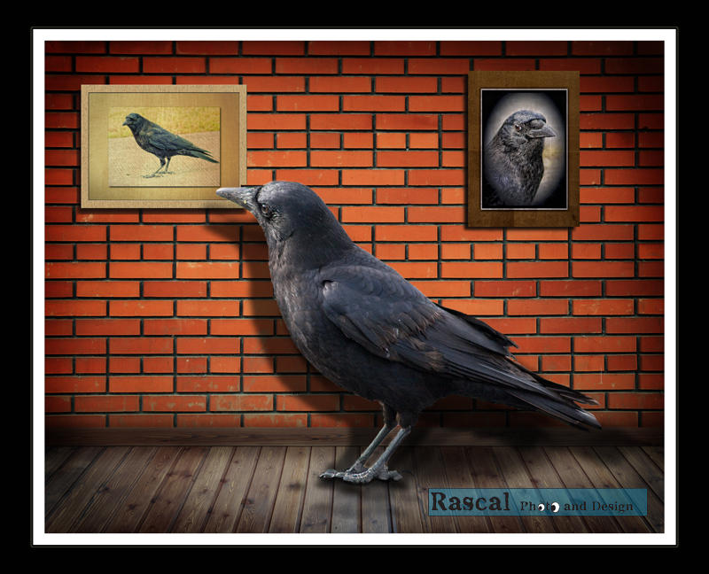 Rascal Reflective The Art of Reflection by rascalphoto on DeviantArt