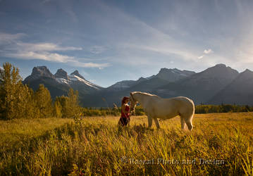 That Evening Light