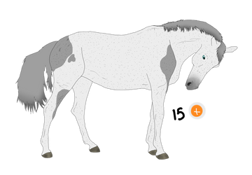 Horse adoptable | OPEN