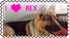 Rex stamp