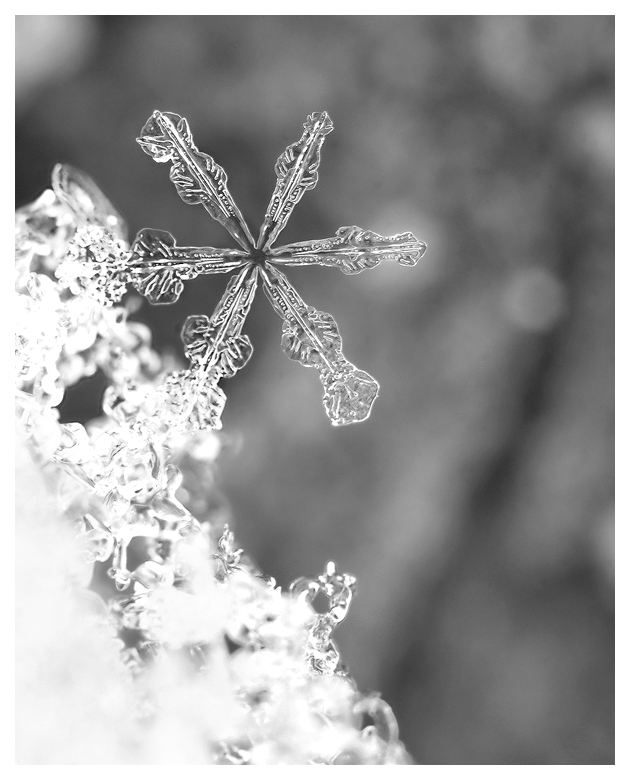 Snowflake