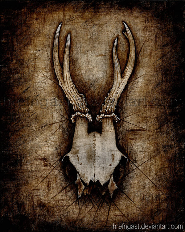 Deer Skull