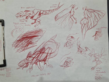 Astelonox concept sketches