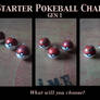 Starter Pokeball Charms