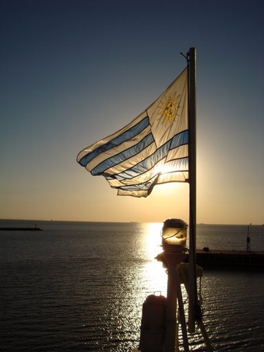 bandera uruguaya '